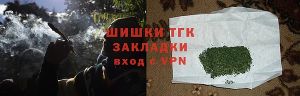 индика Армянск