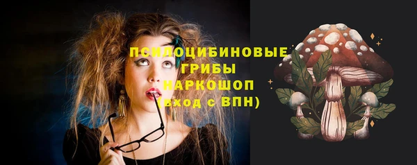 прущие грибы Арсеньев