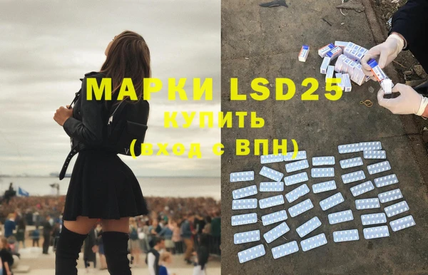 индика Армянск
