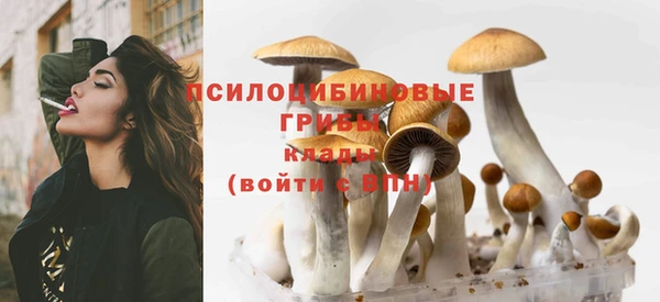 прущие грибы Арсеньев