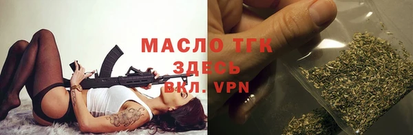 индика Армянск
