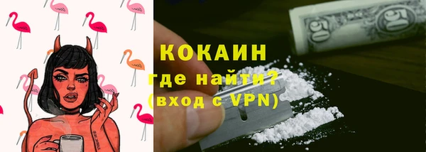 прущие грибы Арсеньев