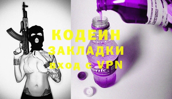 индика Армянск