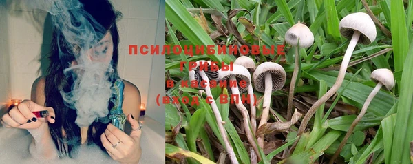 индика Армянск