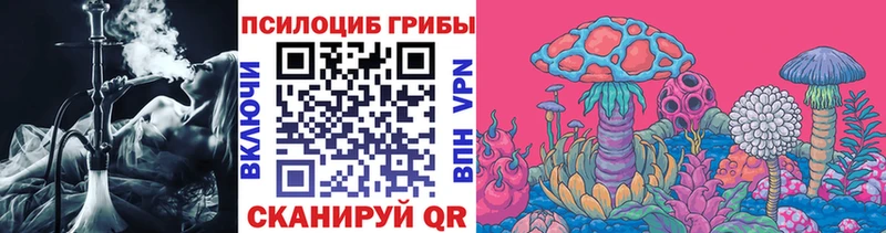 Галлюциногенные грибы Cubensis Усть-Джегута